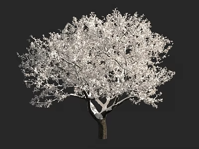 3D Rendered Tree With White Foliage And Dark Trunk On Black Background 3d model