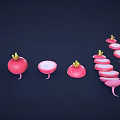 Fresh Red Radish Vegetable Display With Whole Halved And Sliced Pieces On Dark Background