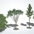modern tree landscape tree arbor 3d model