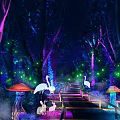 Enchanted Night Forest Scene With Glowing Trees Cranes Rabbits And Wooden Bridge