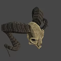Ram Skull With Curved Textured Horns And Detailed Bone Structure In Shadow
