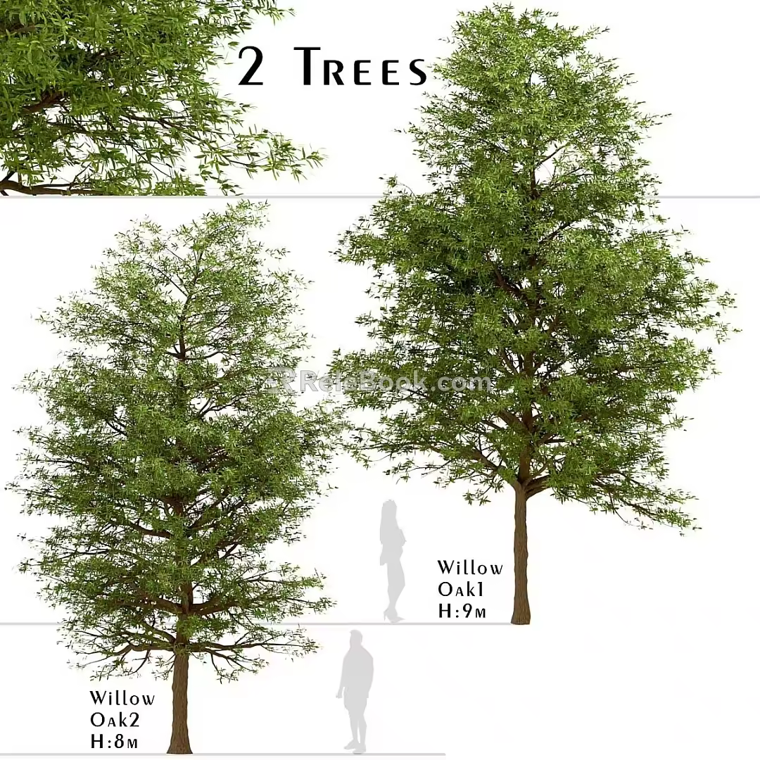 Modern Landscape Trees Poplar Maple Pine Trees Big Trees Tropical Trees 3d model