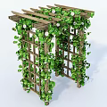 Wooden Garden Pergola Decorated With Green Vines And White Flowers On Lattice