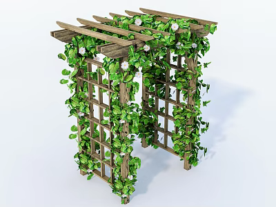 Wooden Garden Pergola Decorated With Green Vines And White Flowers On Lattice 3d model