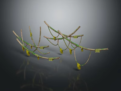 Wooden Stone Decorative Branches With Natural Texture And Yellow Accent Details 3d model