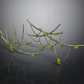 Wooden Stone Decorative Branches With Natural Texture And Yellow Accent Details