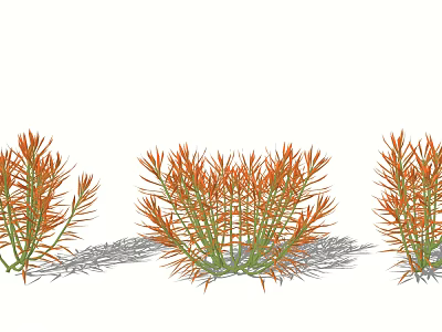 fleshy coral shrub cover with flowers and plants 3d model