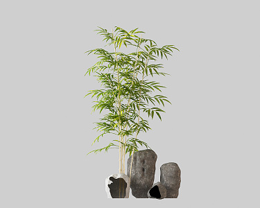 Modern Bamboo Fake Stone 3d model