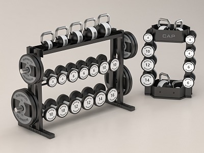 Fitness Equipment Dumbbell Kettlebell Yoga Ball Fitness Equipment Storage Rack 3d model