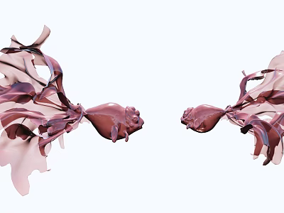 Two Rose Petal Shaped Purple Red Aquatic Animals With Flowing Fins And Elegant White Background 3d model