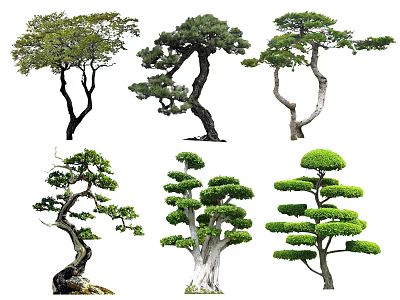 Various Unique Shaped Arbor Trees with Curved Trunks and Lush Foliage 3d model