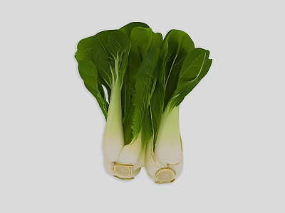 Fresh Bok Choy Vegetables with Green Leaves and White Stems Isolated on Gray Background 3d model
