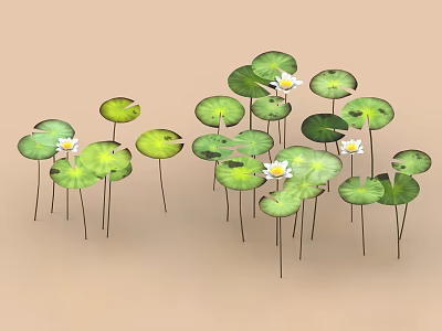 Fresh White Lotus Blooms With Vibrant Green Lily Pads And Stems 3d model