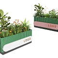 Decorative Bonsai Potted Plants In Green Planter Boxes With LOGO Text