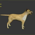 Light Brown Dog With White Patches 3D Model Standing On Shiny Reflective Gray Gradient Floor