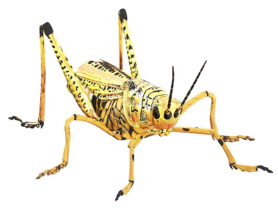 Yellow grasshopper with black spots long legs and detailed body as flying insect 3d model
