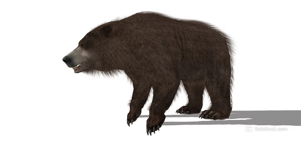 Brown Reptile With Thick Scales And Strong Claws In Natural Habitat 3d model 