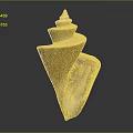 Shiny Yellow Spiral Conch As Marine Animal With Smooth Texture On Dark Background