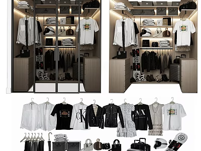 Modern Walk in Closet With Elegant Dresser And Organized Storage For Clothes And Bags 3d model