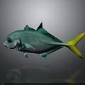 Vibrant Turquoise and Yellow Fish With Shiny Body on Gray Background and Clear Reflection