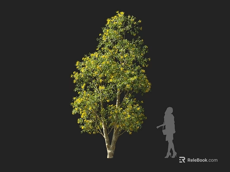 Tall Lush Tree With Green Leaves And Yellow Blooms Against Dark Background With Human Silhouette 3d model 
