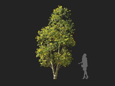 Tall Lush Tree With Green Leaves And Yellow Blooms Against Dark Background With Human Silhouette 3d model