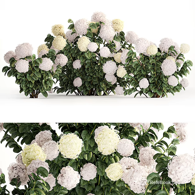 Beautiful Blooming Garden Flowers With Soft White Pink Cream Petals And Lush Green Leaves 3d model 