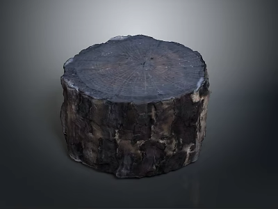 Rustic Natural Wooden Stump Chair With Tree Texture And Organic Design 3d model
