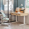 Kids Room Interior With Adjustable Wooden Desk Light Green Chair Books And Natural Light
