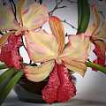 Bonsai Potted Plant Featuring Yellow Pink Orchids Red Flowers Green Leaves And Slender Black Branches