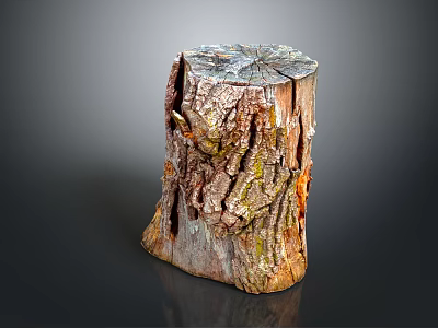 Natural Rustic Wooden Tree Stump With Surface Cracks And Stone Like Texture 3d model