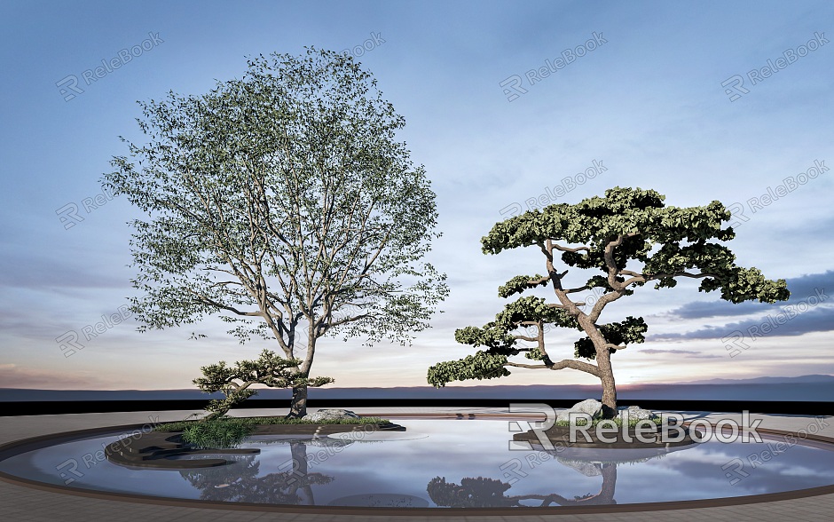 Landscape Tree Landscape Tree Pool Pohan Pine Arbor Pine model