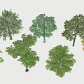 Various Arbor Trees With Different Green And Yellow Foliage Shapes 3d model