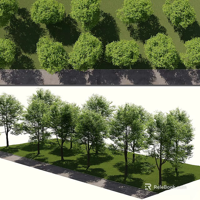 Row of Green Leafy Arbor Trees in Outdoor Landscape With Grass and Shade 3d model 