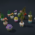 Various Potted Plants In Colorful Different Shaped Pots With Flowering And Green Leaf Varieties