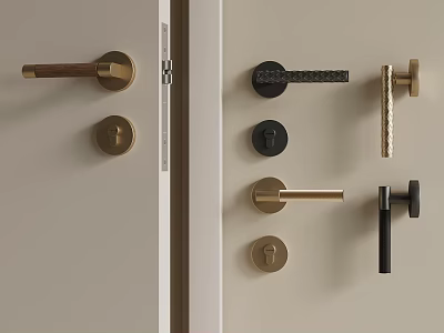 Modern Door Handle Designs With Brass And Black Lock Components 3d model