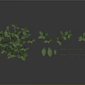 Green Plant 3D Models with Various Stems Leaves and Scattered Foliage