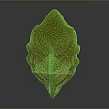 Green Leaf With Textured Veins And Three Dimensional Shape On Gray Background