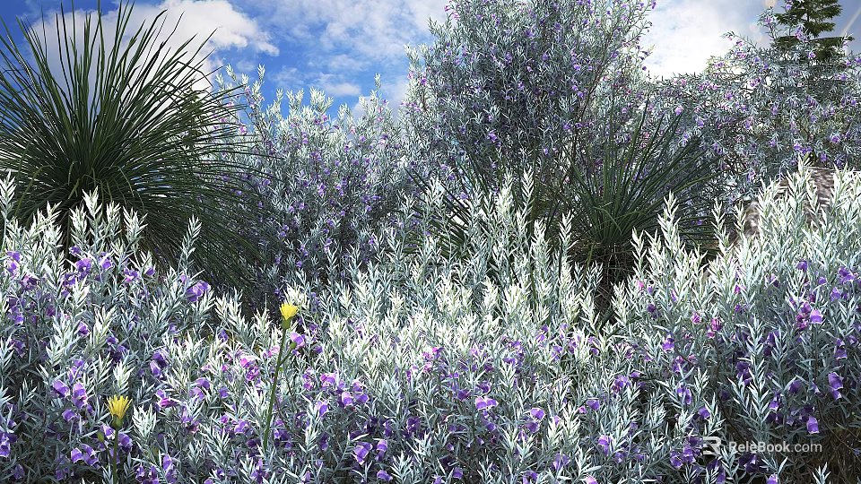 Lush Flowering Shrubs With Purple Blooms And Silvery Gray Foliage In Sunny Garden 3d model 