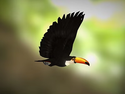 Game Movie Toucan Character Flying With Black Wings Orange Yellow Beak White Throat Blurred Background 3d model