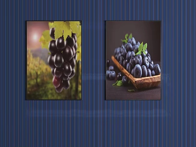 Vineyard Grapes Hanging On Vines And Platter With Fresh Grapes And Leaves 3d model