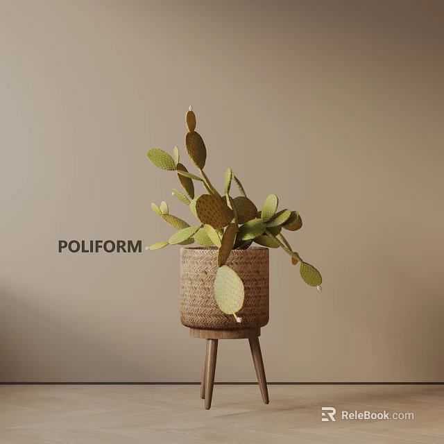 POLIFORM Potted Cactus Plant in Woven Basket on Wooden Stool Against Neutral Wall 3d model 