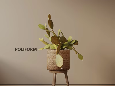 POLIFORM Potted Cactus Plant in Woven Basket on Wooden Stool Against Neutral Wall 3d model