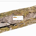 Natural Stone Wood Combination With Moss Covered Rustic Texture And Weathered Surface 3d model