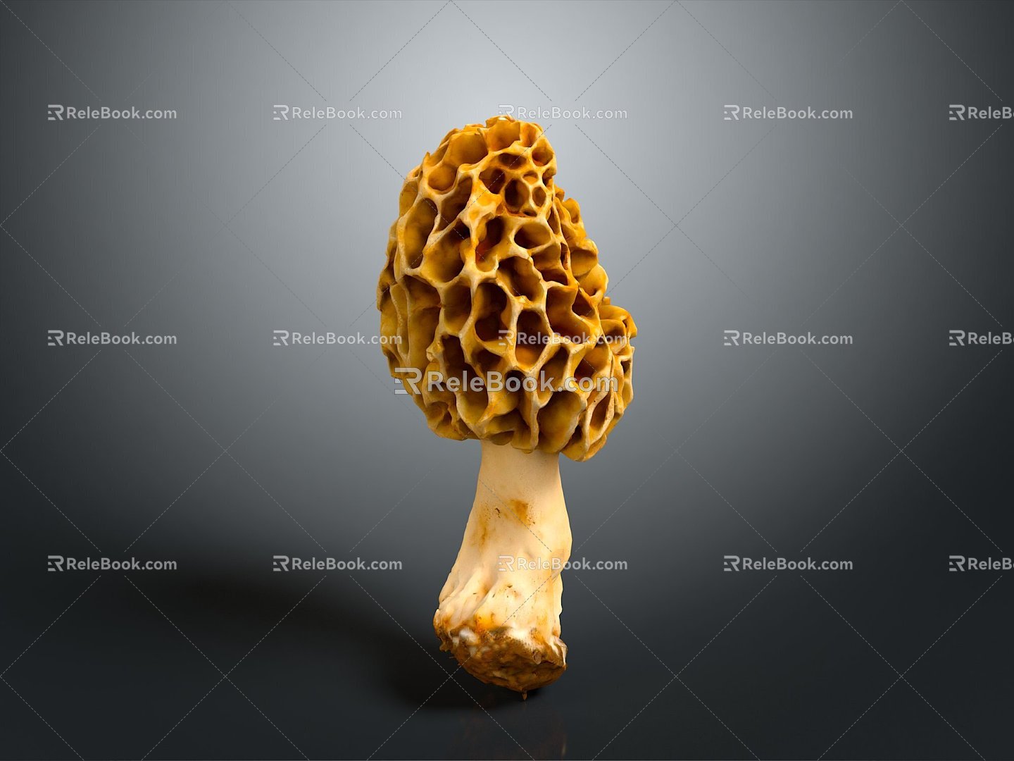 Mushrooms, straw mushrooms, poisonous mushrooms, plant mushrooms, mushrooms, ganoderma lucidum, tree mushrooms, vegetables, fruits and vegetables model