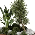 Lush Natural Tree Planter With Various Trees Green Plants Decorative Stones And Wooden Base