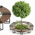 Circular Wooden Tree Pit With Surrounding Seating Metal Frame And Green Plants