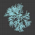 Snow Covered Tree With Intricate Branches And Human Silhouette Against Dark Background