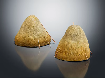 Two Conical Traditional Straw Stacks With Support Sticks On Reflective Surface 3d model