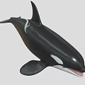 Realistic Black And White Orca Marine Animal Toy Model Figure
